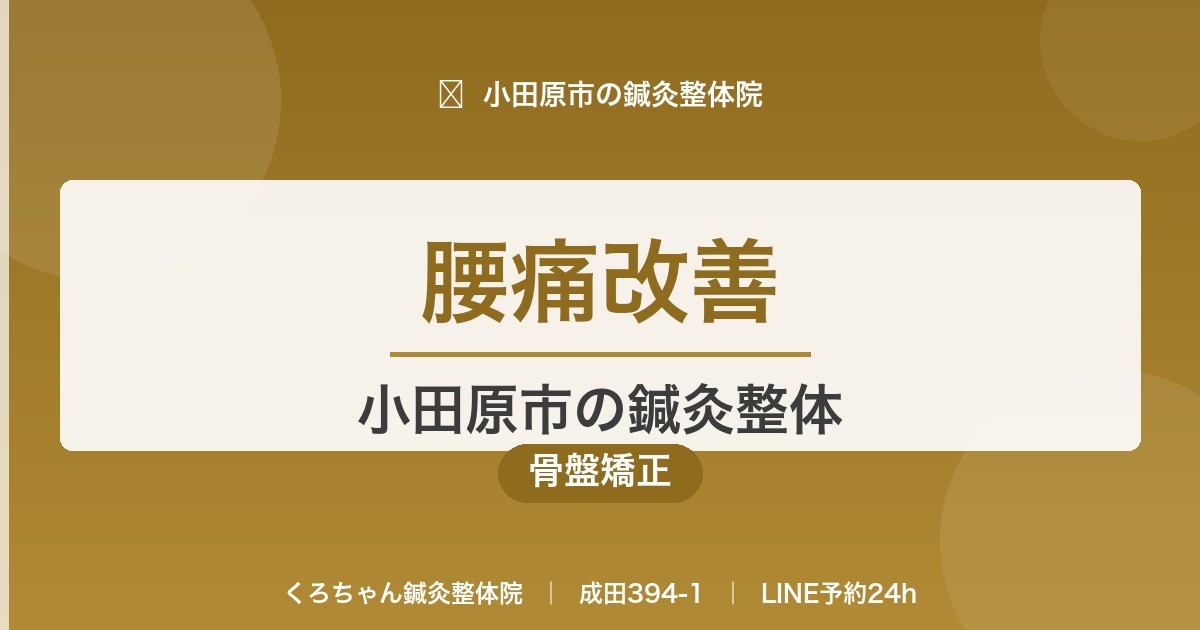 腰痛改善｜小田原市の鍼灸整体｜くろちゃん鍼灸整体院
