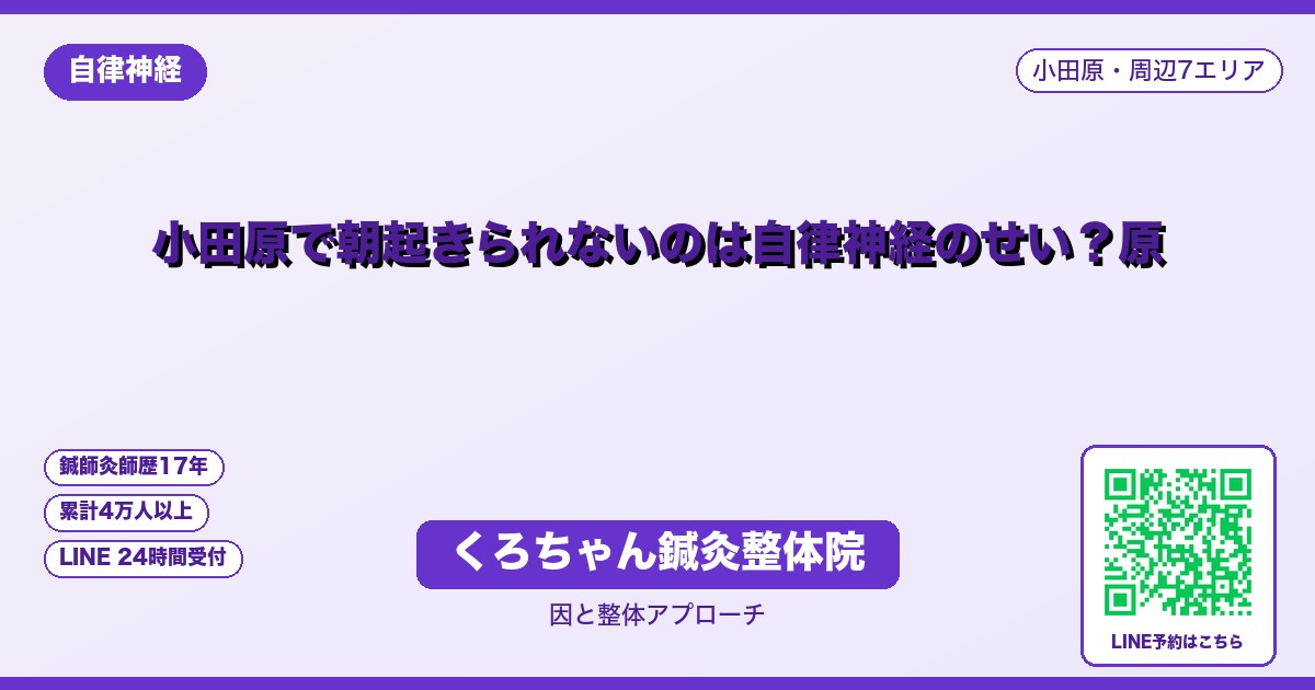 くろちゃん鍼灸整体院の施術風景