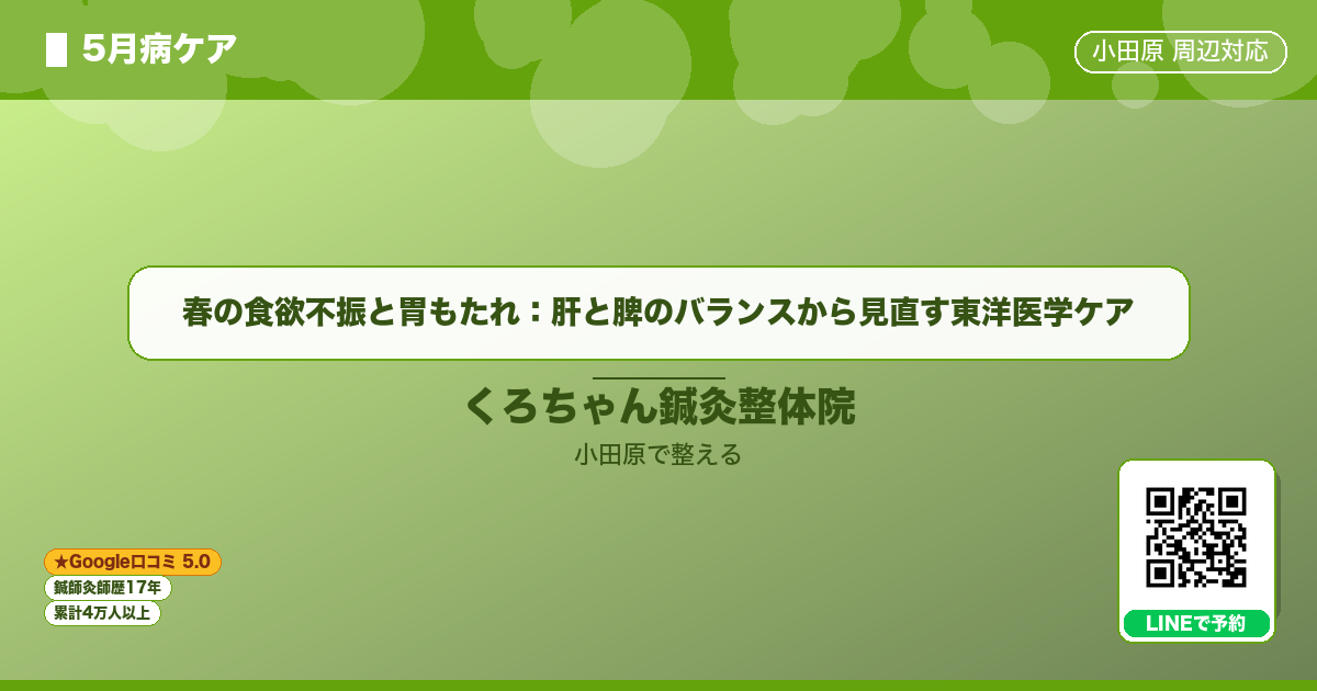 春の食欲不振と胃もたれ:肝と脾のバランスから見直す東洋医学ケア|小田原市の鍼灸整体のイメージ