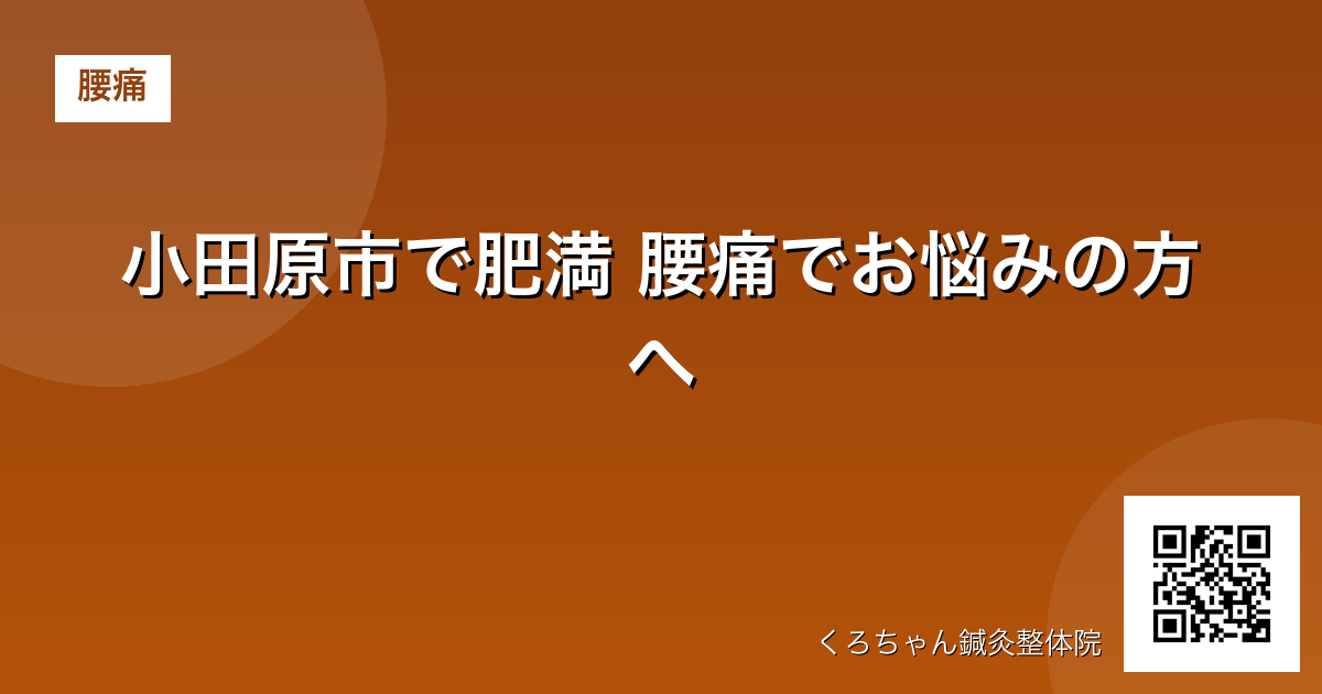 小田原市で肥満 腰痛でお悩みの方へ - 腰痛