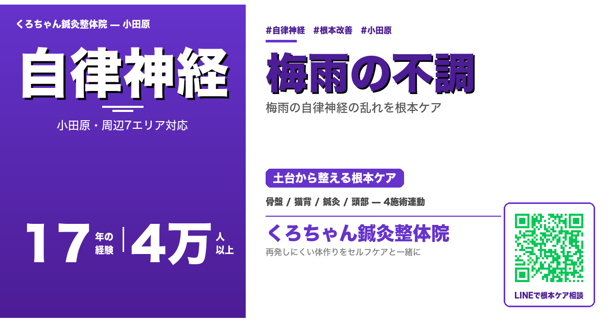 小田原で梅雨の自律神経の乱れを根本ケア｜気圧×湿度×自律神経への4つのアプローチ｜くろちゃん鍼灸整体院