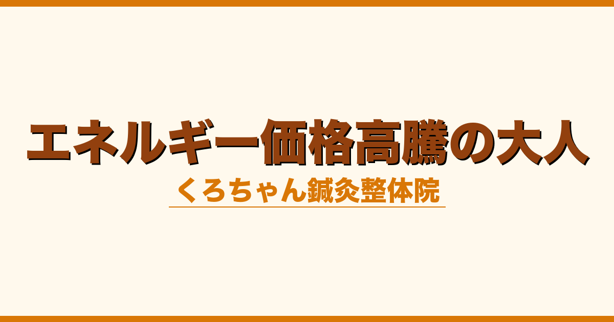 エネルギー価格高騰の大人
