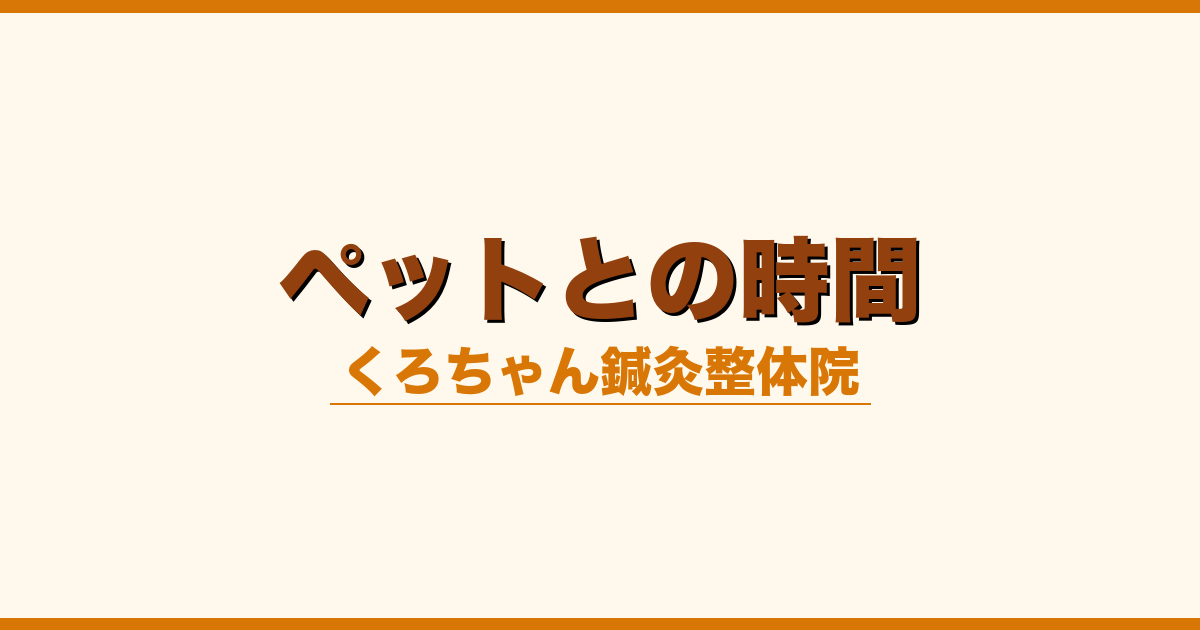 ペットとの時間