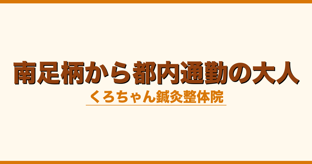 南足柄から都内通勤の大人