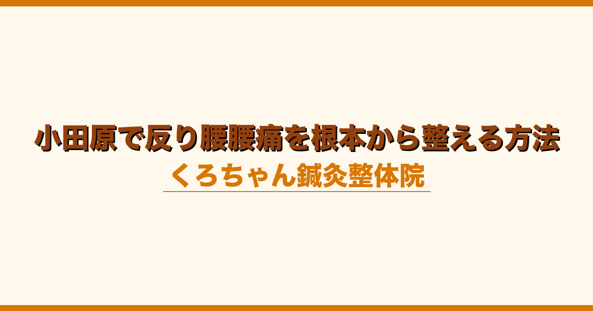 小田原で反り腰腰痛を根本から整える方法