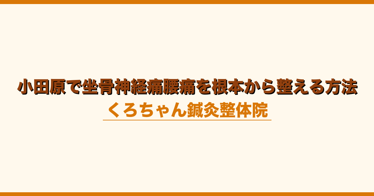 小田原で坐骨神経痛腰痛を根本から整える方法