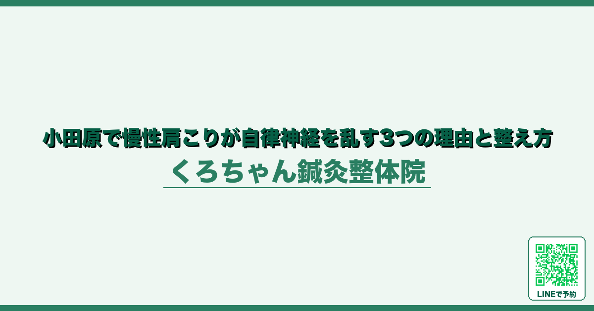小田原で慢性肩こりが自律神経を乱す3つの理由と整え方
