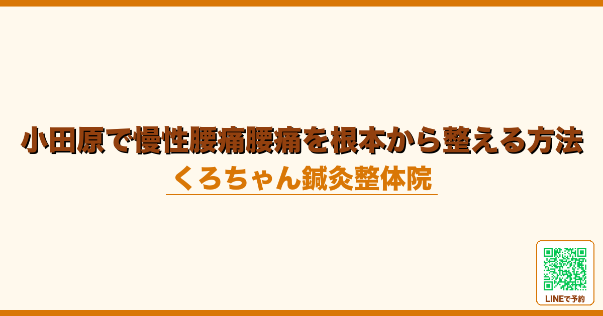 小田原で慢性腰痛腰痛を根本から整える方法