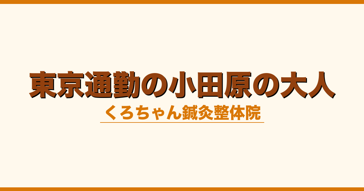 東京通勤の小田原の大人