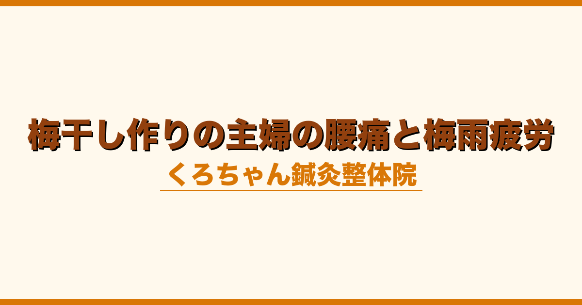 梅干し作りの主婦の腰痛と梅雨疲労