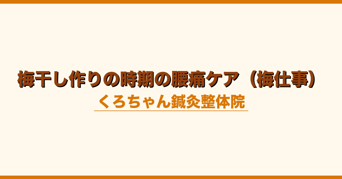 梅干し作りの時期の腰痛ケア（梅仕事）