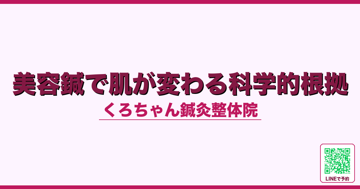 美容鍼で肌が変わる科学的根拠