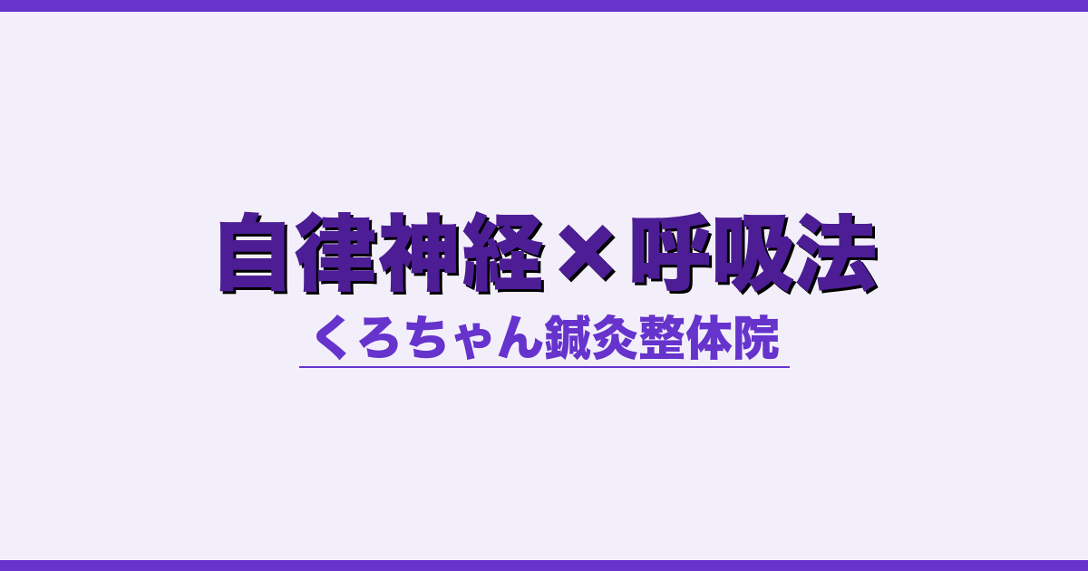 自律神経×呼吸法