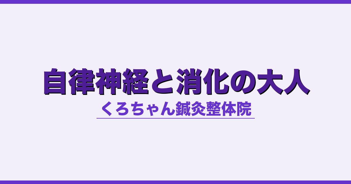 自律神経と消化の大人