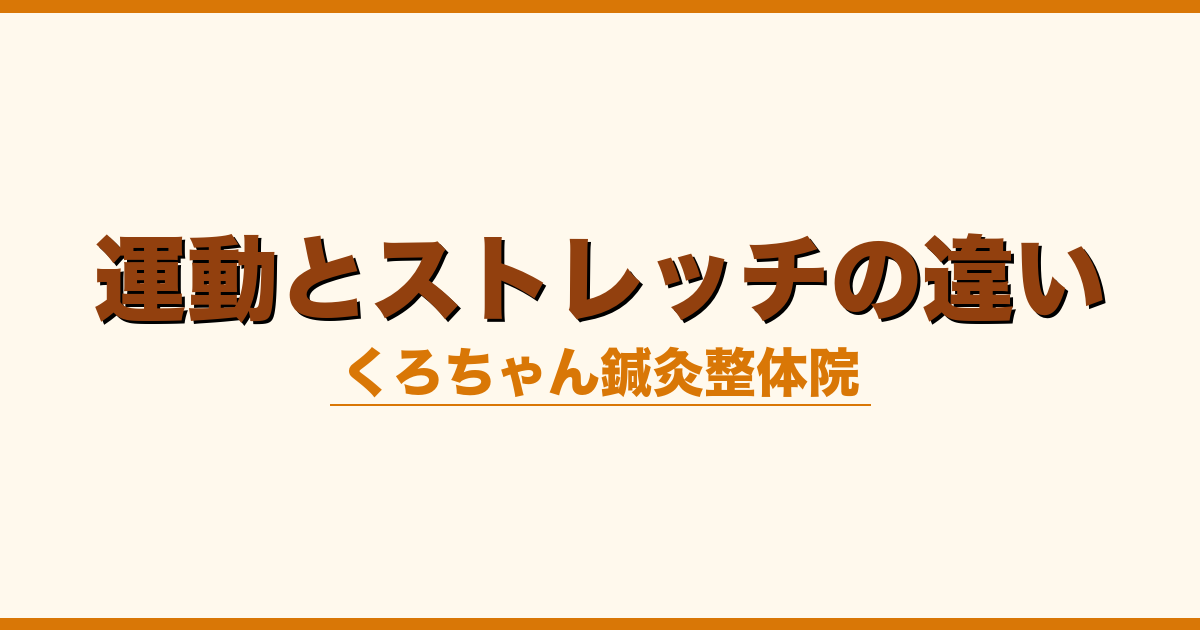 運動とストレッチの違い
