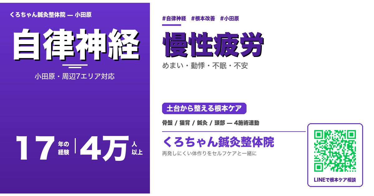 小田原の慢性疲労 - くろちゃん鍼灸整体院