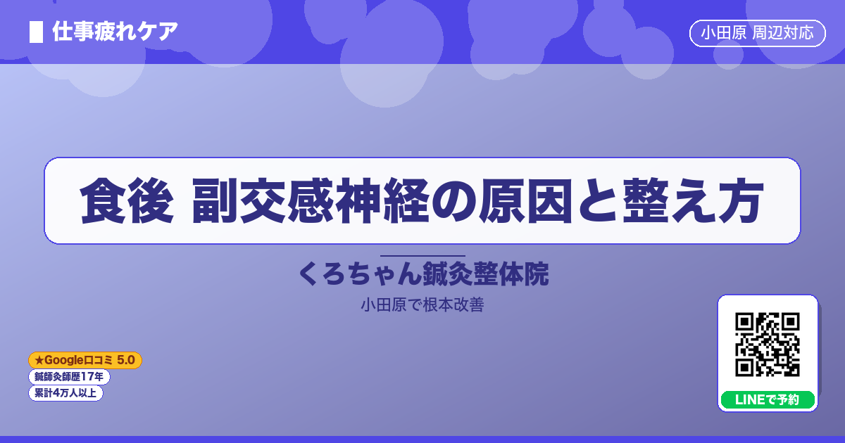 食後 副交感神経の原因と整え方 - 仕事