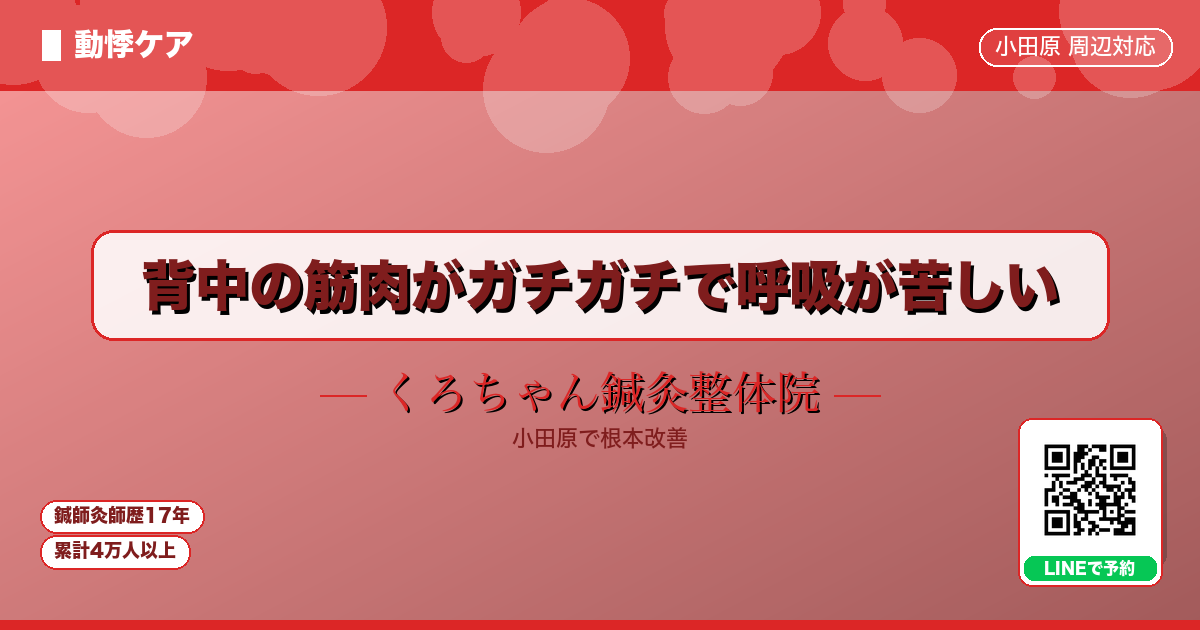 背中の筋肉がガチガチで呼吸が苦しい - 動悸 - くろちゃん鍼灸整体院