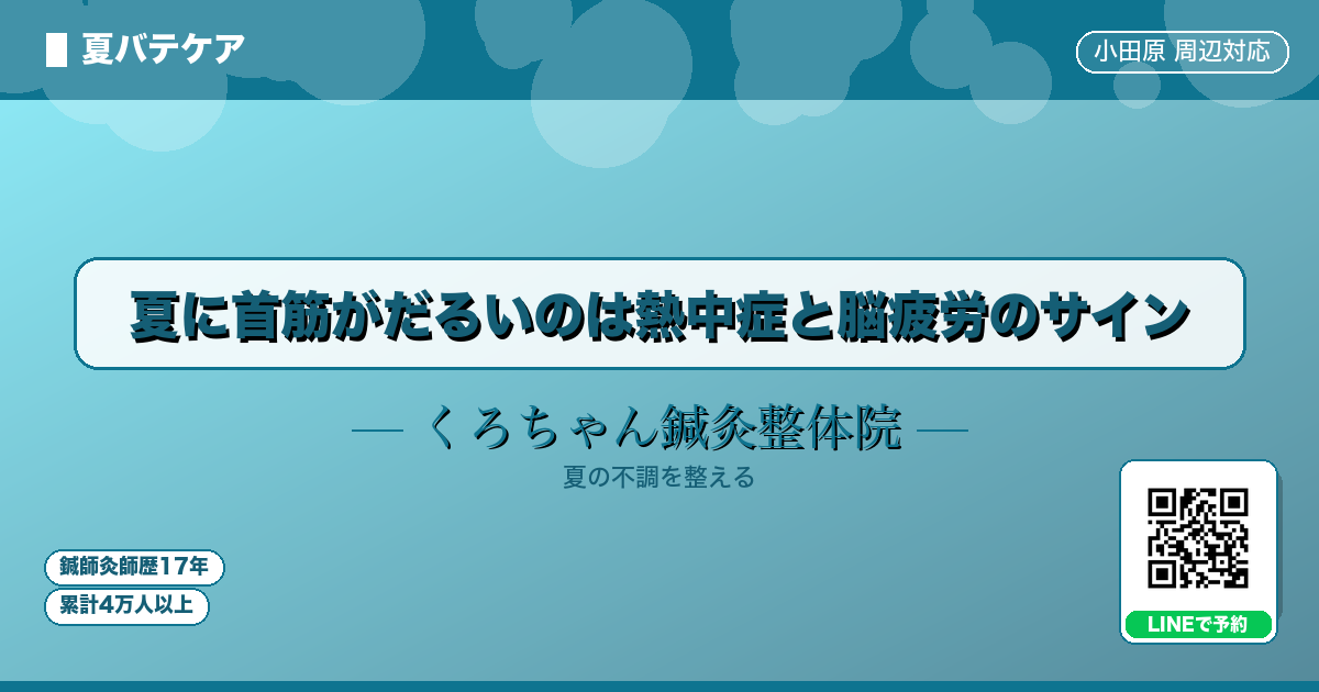 夏に首筋がだるいのは熱中症と脳疲労のサイン - 夏バテ - くろちゃん鍼灸整体院