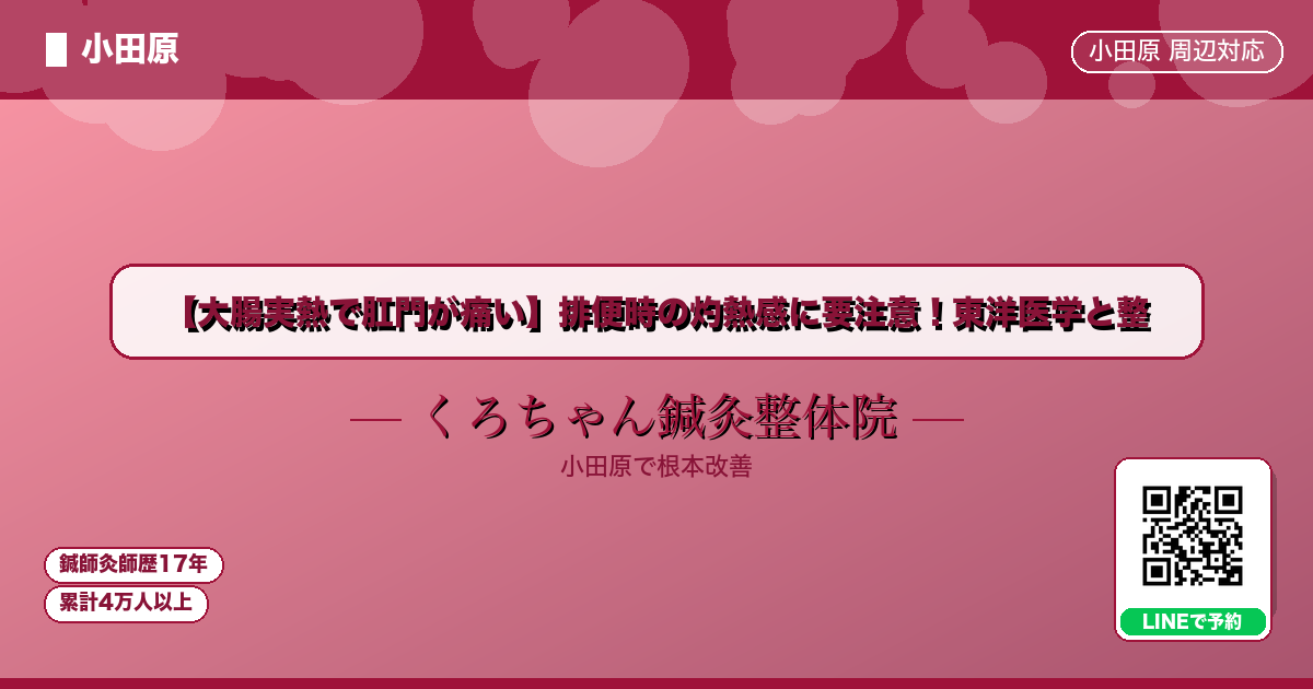 【大腸実熱で肛門が痛い】排便時の灼熱感に要注意！東洋医学と整 - 小田原ローカル - くろちゃん鍼灸整体院