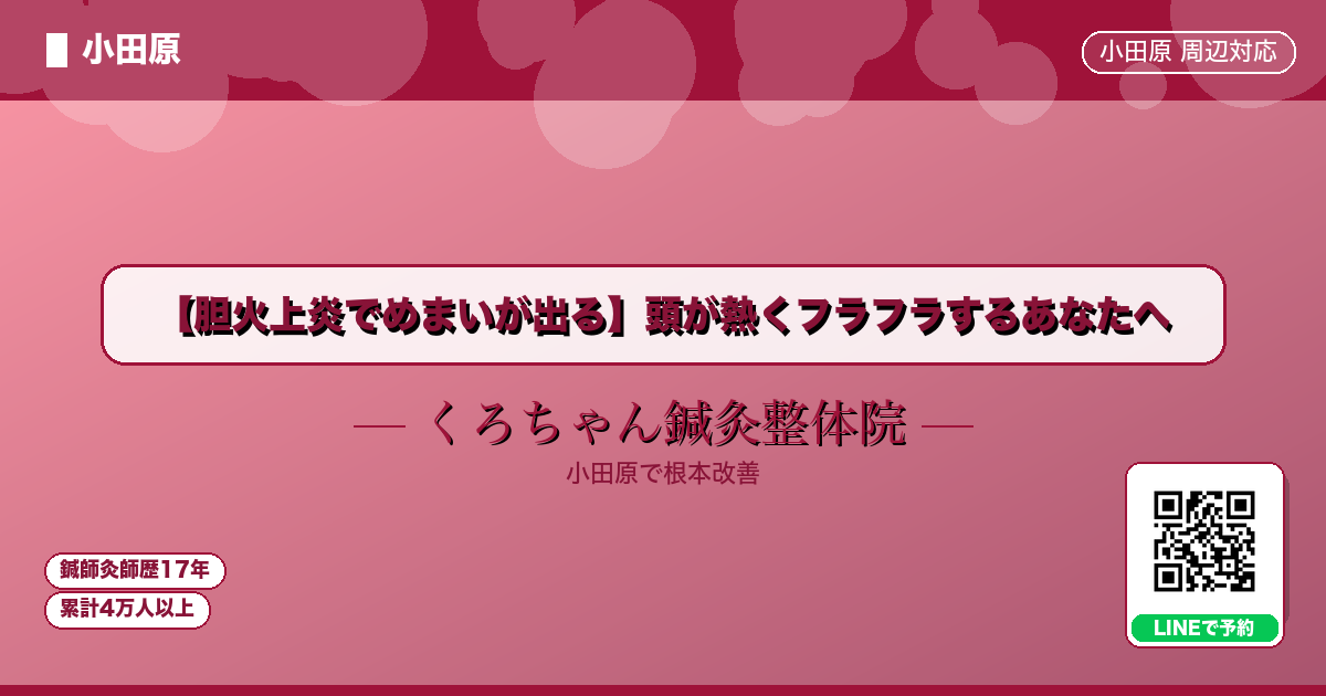 【胆火上炎でめまいが出る】頭が熱くフラフラするあなたへ - 小田原ローカル - くろちゃん鍼灸整体院
