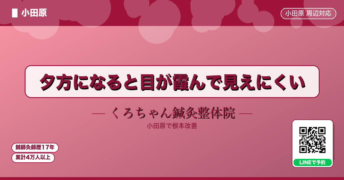 夕方になると目が霞んで見えにくい - 小田原ローカル - くろちゃん鍼灸整体院