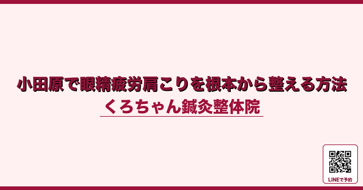 小田原で眼精疲労肩こりを根本から整える方法 - 小田原ローカル - くろちゃん鍼灸整体院