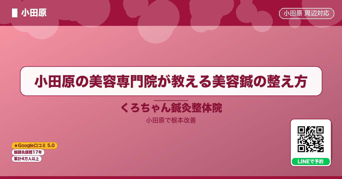 小田原の美容専門院が教える美容鍼の整え方 - 小田原ローカル