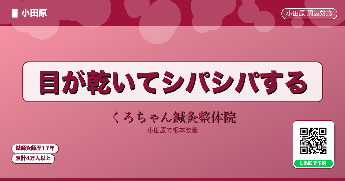 目が乾いてシパシパする - 小田原ローカル - くろちゃん鍼灸整体院