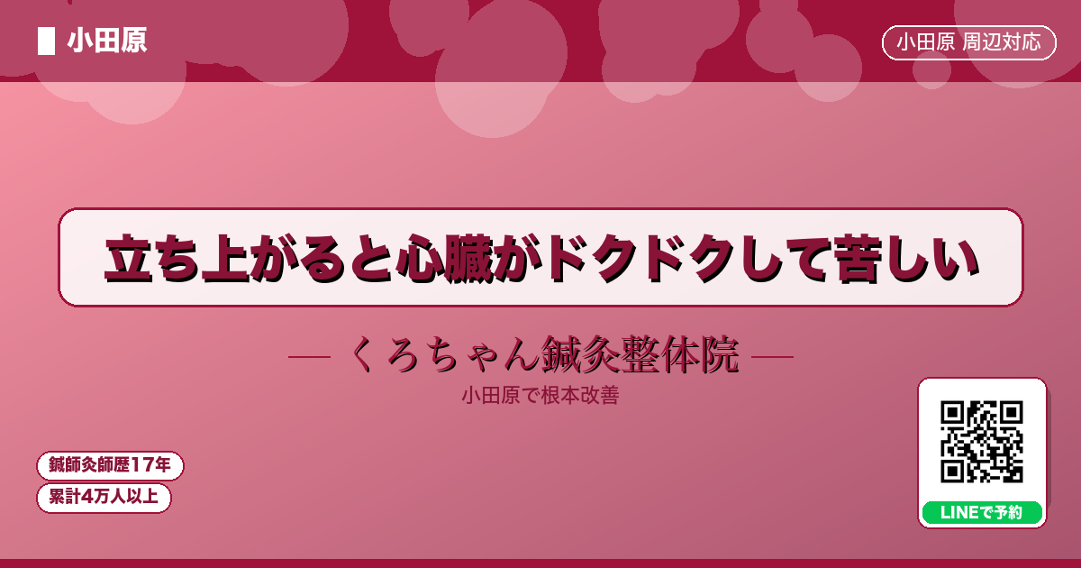 立ち上がると心臓がドクドクして苦しい - 小田原ローカル - くろちゃん鍼灸整体院