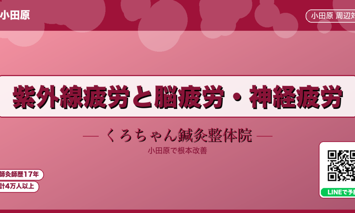紫外線疲労と脳疲労・神経疲労 - 小田原ローカル