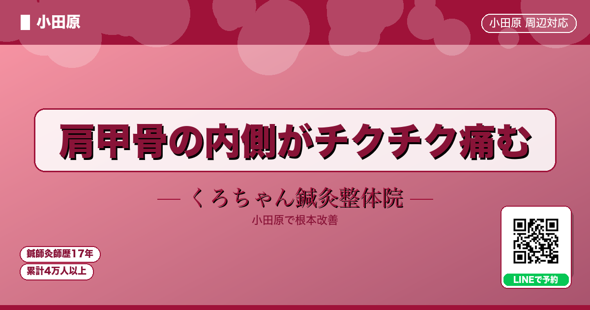 肩甲骨の内側がチクチク痛む - 小田原ローカル - くろちゃん鍼灸整体院