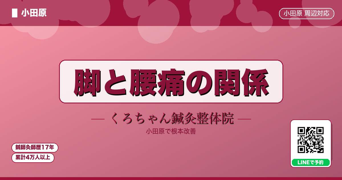 脚と腰痛の関係 - 小田原ローカル - くろちゃん鍼灸整体院