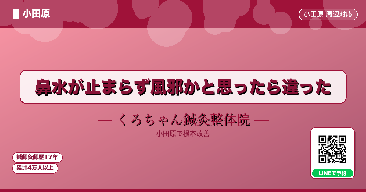 鼻水が止まらず風邪かと思ったら違った - 小田原ローカル - くろちゃん鍼灸整体院
