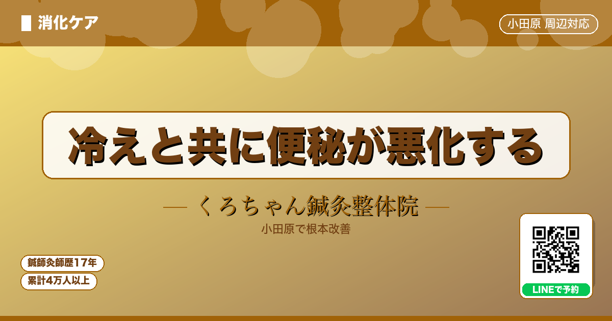 冷えと共に便秘が悪化する - 消化 - くろちゃん鍼灸整体院