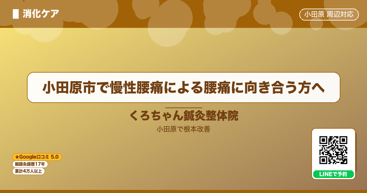 小田原市で慢性腰痛による腰痛に向き合う方へ - 消化