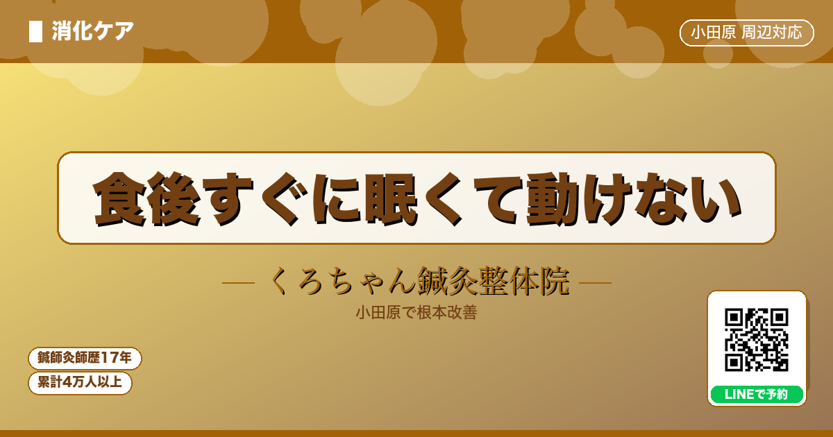 食後すぐに眠くて動けない - 消化 - くろちゃん鍼灸整体院