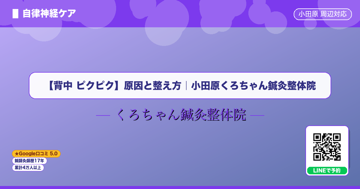 【背中 ピクピク】原因と整え方｜小田原くろちゃん鍼灸整体院