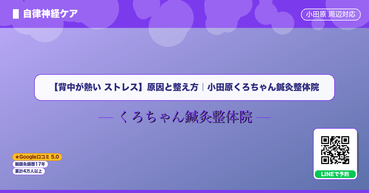 【背中が熱い ストレス】原因と整え方｜小田原くろちゃん鍼灸整体院