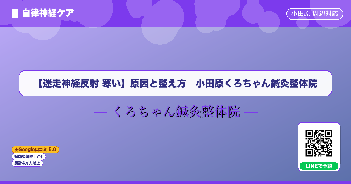 【迷走神経反射 寒い】原因と整え方｜小田原くろちゃん鍼灸整体院