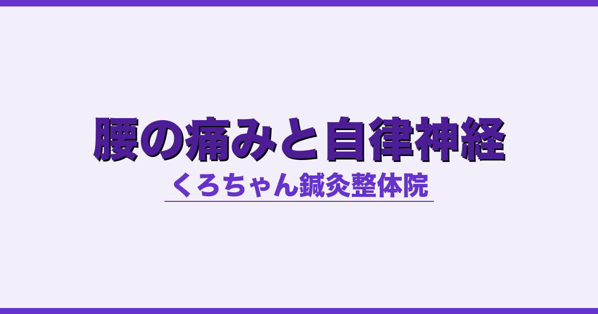 腰の痛みと自律神経 - 自律神経 - くろちゃん鍼灸整体院