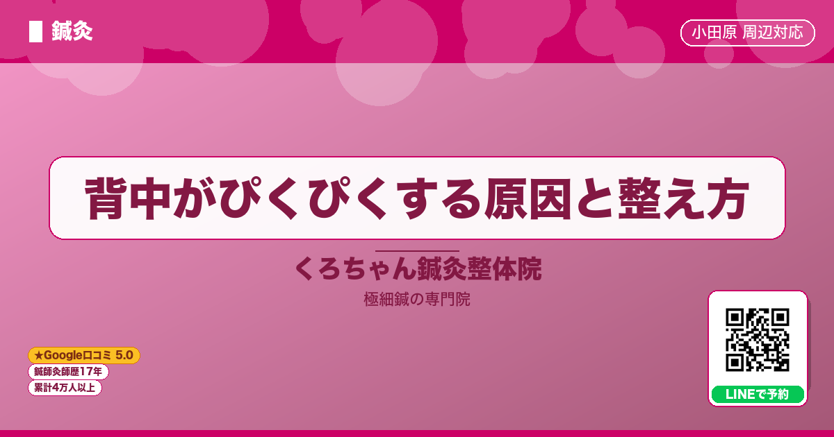 背中がぴくぴくする原因と整え方 - 鍼灸