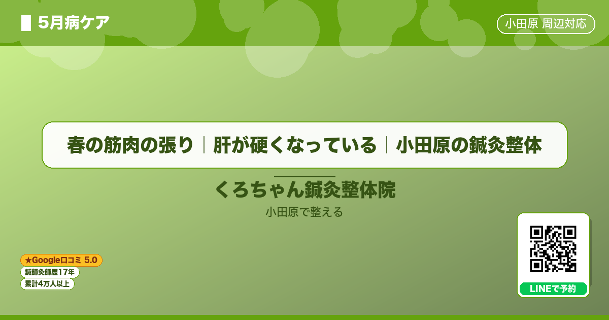 春の筋肉の張り｜肝が硬くなっている｜小田原の鍼灸整体