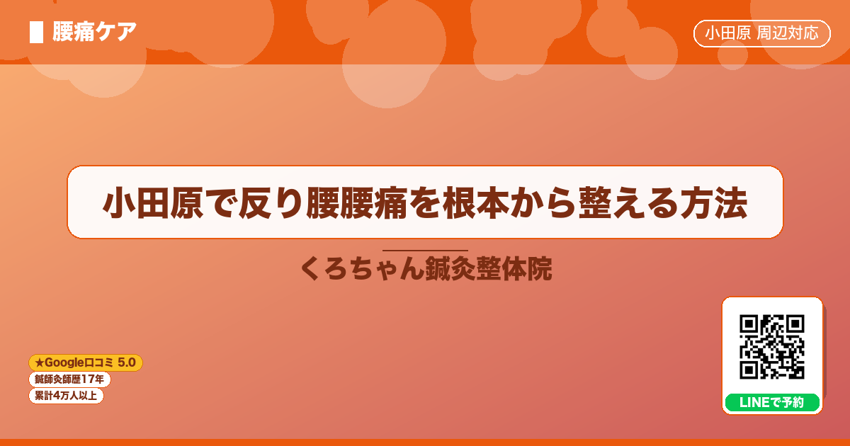 小田原で反り腰腰痛を根本から整える方法