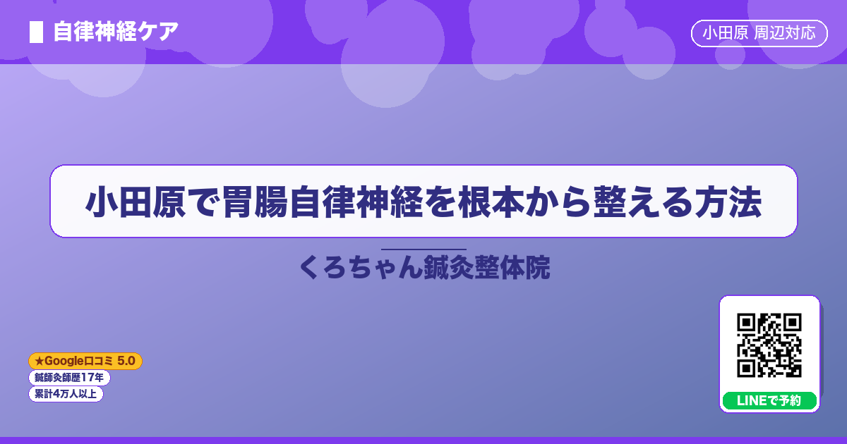 小田原で胃腸自律神経を根本から整える方法
