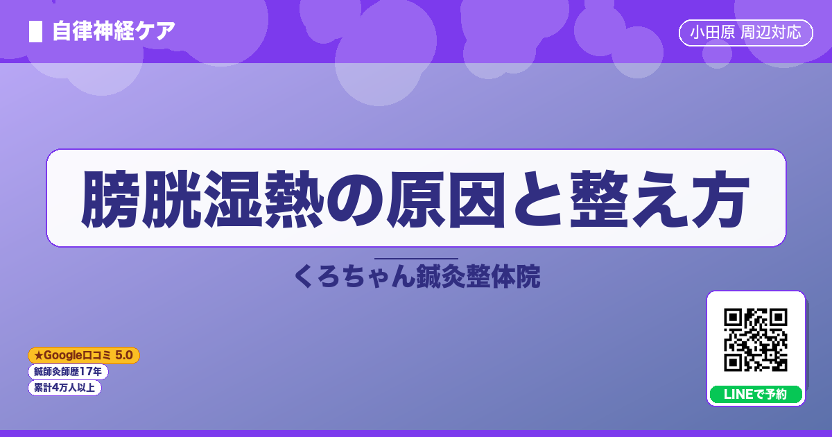 膀胱湿熱の原因と整え方