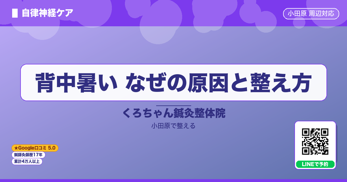 はじめに - 背中暑い なぜの原因と整え方
