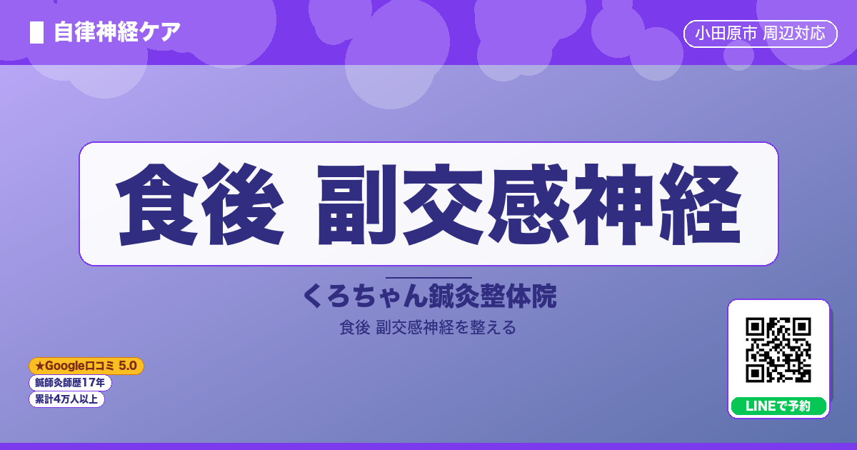 食後 副交感神経