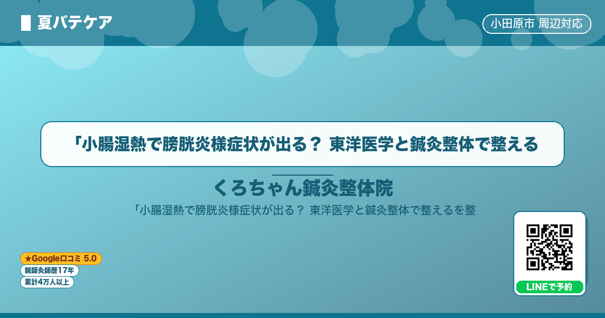 「小腸湿熱で膀胱炎様症状が出る？ 東洋医学と鍼灸整体で整える