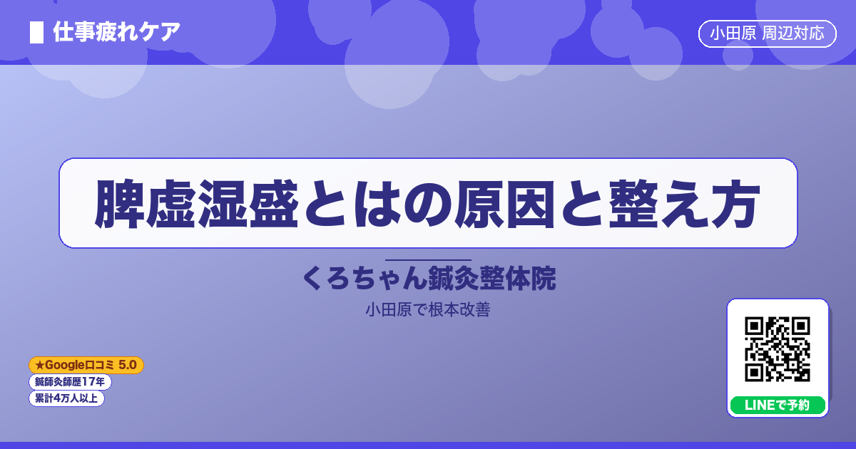 脾虚湿盛とはの原因と整え方 - 仕事
